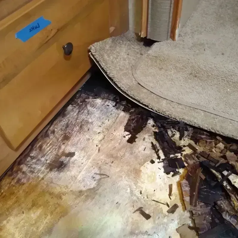 Wood Floor Water Damage in Iron County, WI